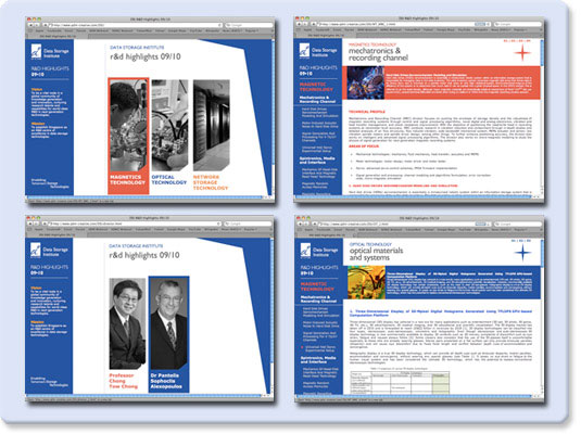 AStar DSI Annual Report 2009/2010